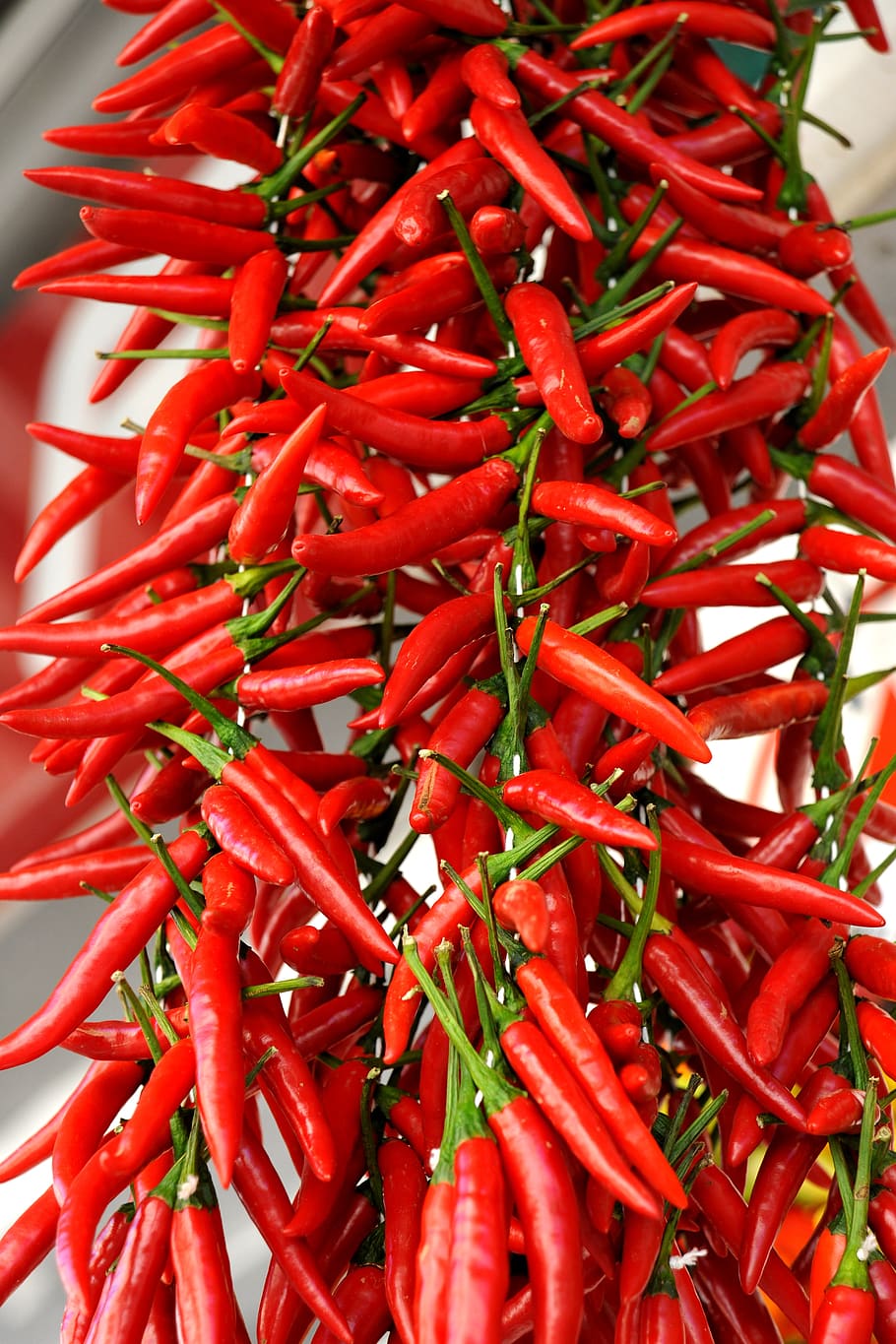 peppers, red, kitchen, spices, vegetable, food and drink, chili pepper HD wallpaper