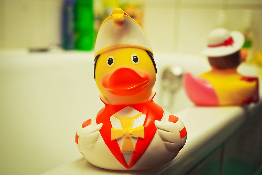 HD wallpaper: toys, duck, yellow, funny, bad, squeak duck, cute, bath duck  | Wallpaper Flare