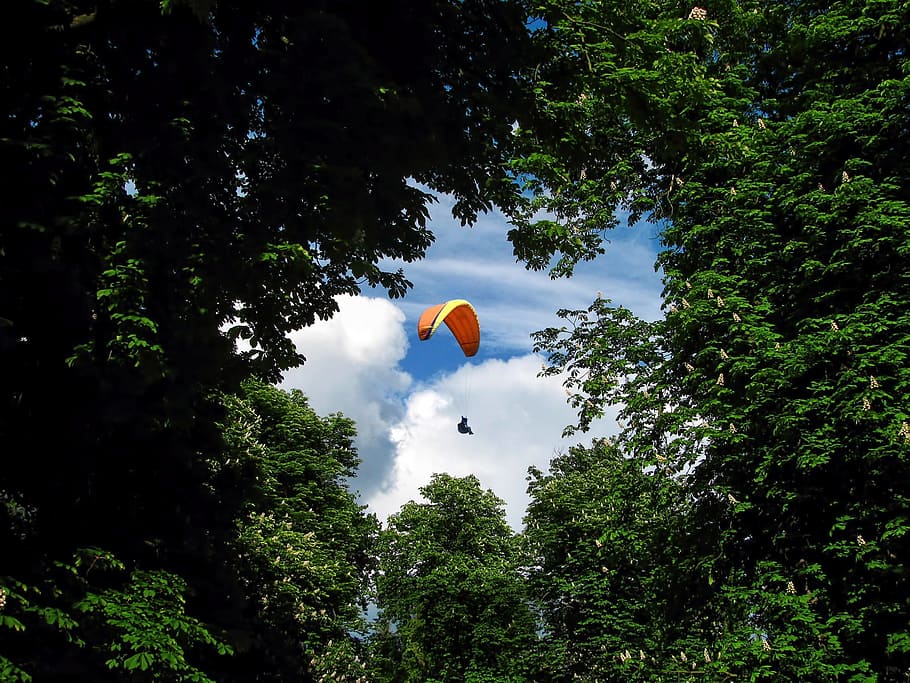 para, paragliding, glider, paraglider, human, activity, high HD wallpaper