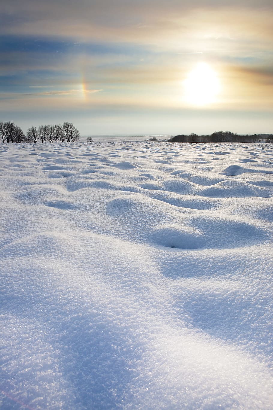 tree, winter, wintertime, outdoor, closeup, cold, snowy, natural HD wallpaper