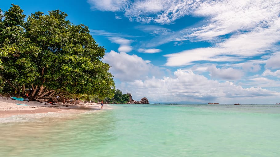 seychelles, paradise, beach, tropical, sea, an island, travel, HD wallpaper