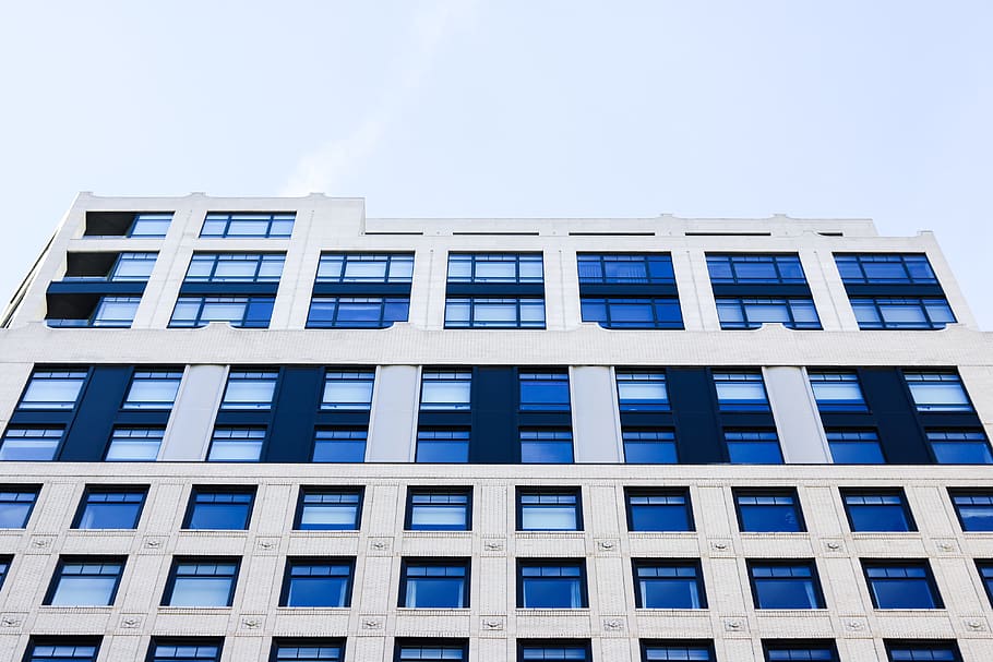 white high-rise building, office building, window, architecture HD wallpaper