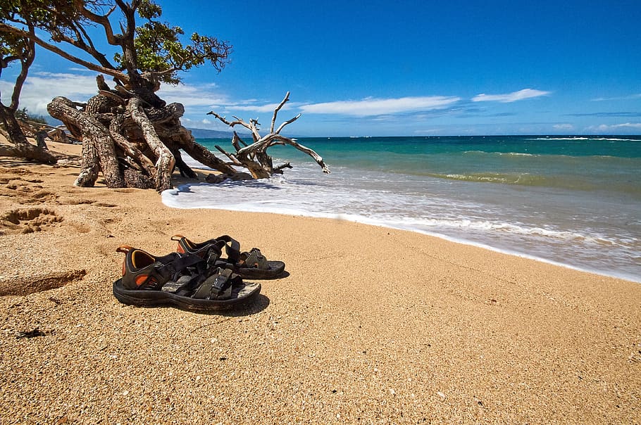 cloud, sun, sand, vacation, relax, sandal, tree, wind, shore HD wallpaper