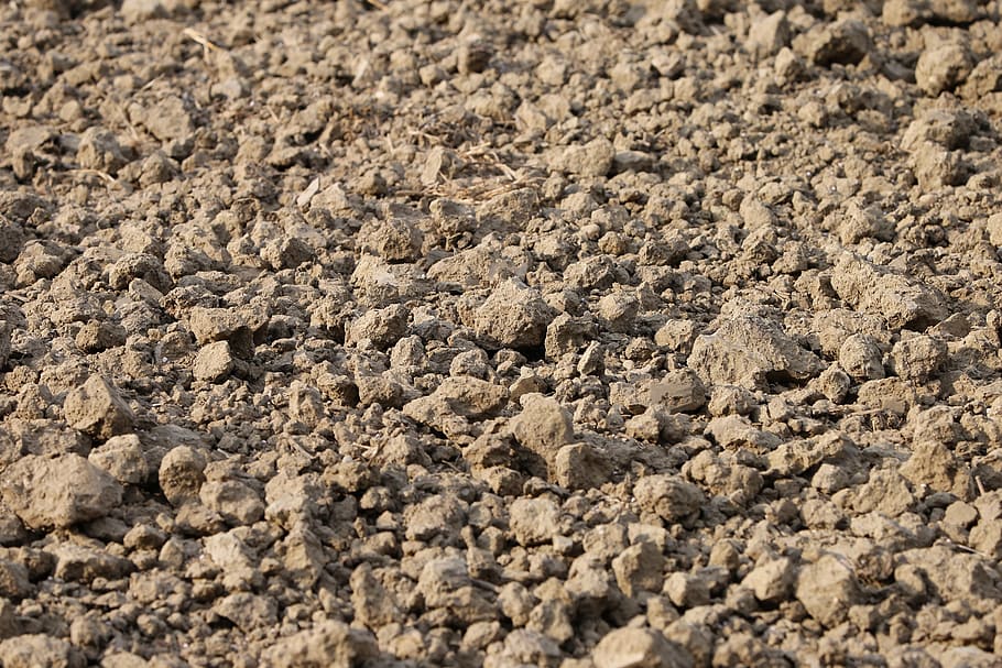 earth, soil, ground, dry, texture, agriculture, agricultural HD wallpaper