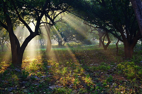 india, ashram, sun, rays, temple, travel, asia, landscape, hinduism HD wallpaper