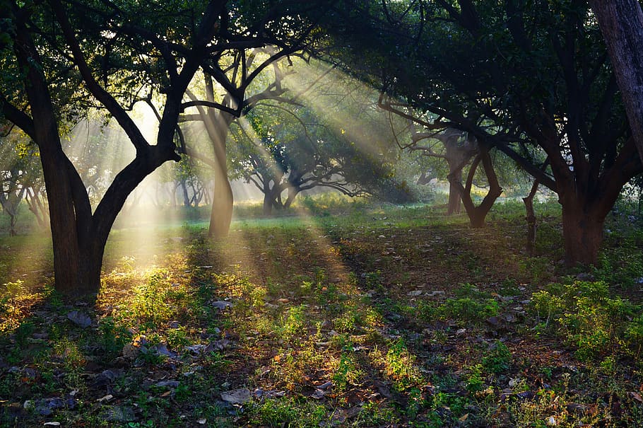 india, ashram, sun, rays, temple, travel, asia, landscape, hinduism HD wallpaper