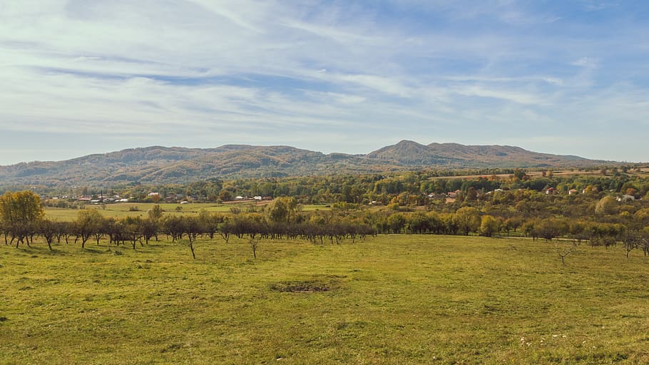 romania, vâlcea county, grass, mountain, trees, adventure HD wallpaper