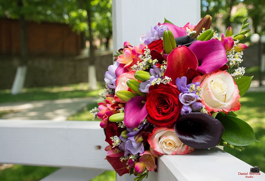 flower, rose, red, beautiful, bouquet, wedding, flowering plant HD wallpaper