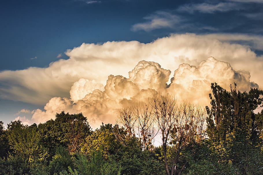 sky, clouds, thunderstorm, summer, pumps, tree, cloud - sky HD wallpaper