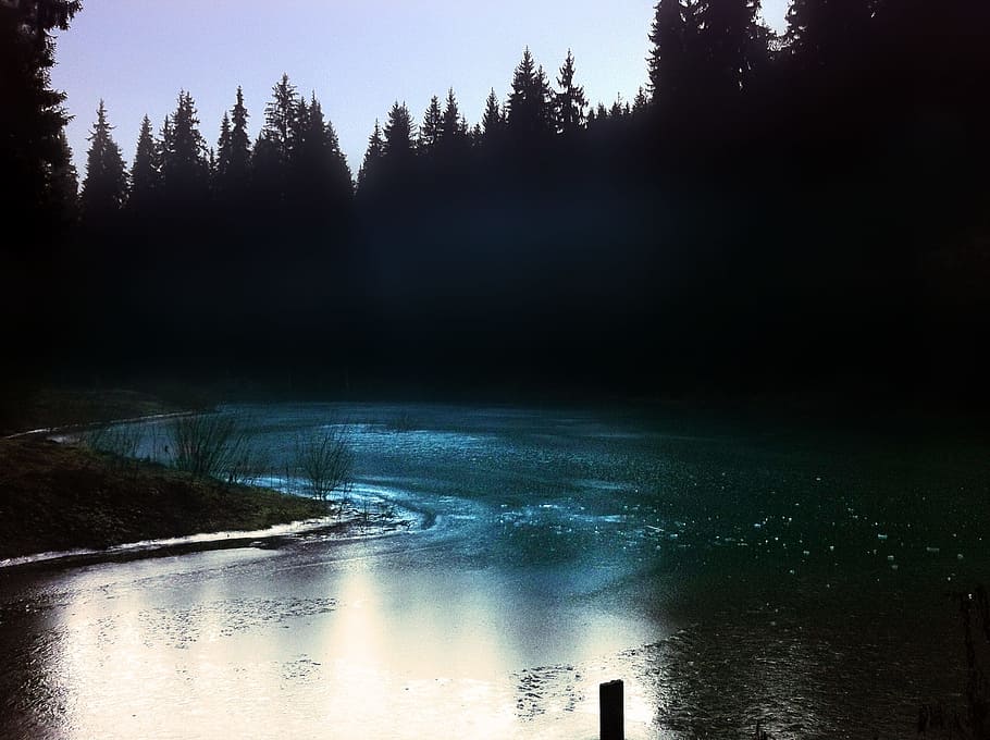 river, water, lake, stream, forest, jungle, tree, beauty in nature HD wallpaper