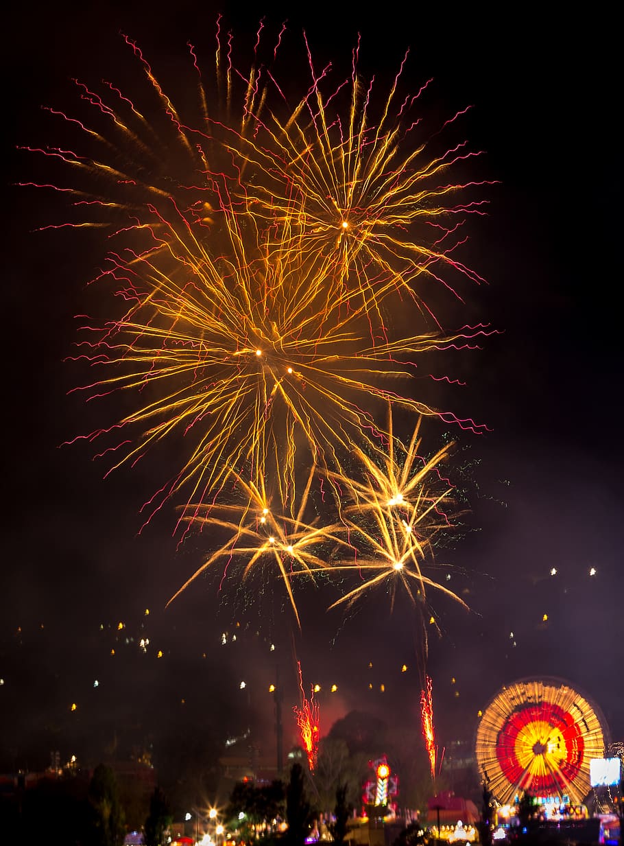 australia, canberra, night, celebration, illuminated, firework HD wallpaper