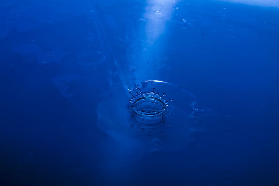Water Droplet, blue, clear, close-up, droplets, h2o, liquid, motion HD wallpaper