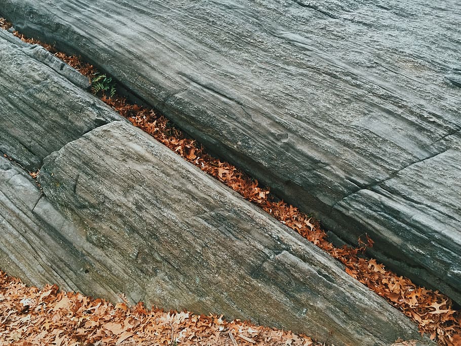 new york, no people, high angle view, day, wood - material HD wallpaper