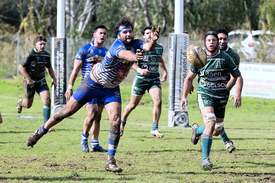 men playing rugby, sport, young adult, full length, running, young men HD wallpaper