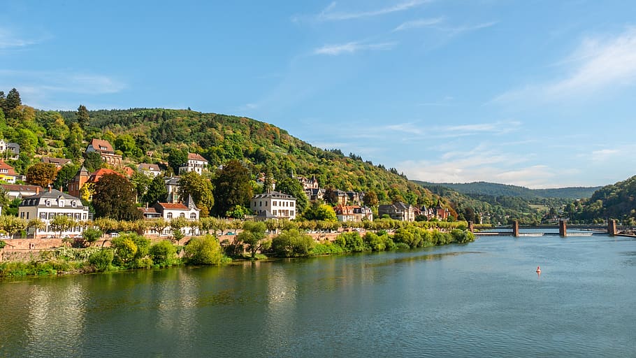 landscape, river, sky, city, heidelberg, architecture, water HD wallpaper