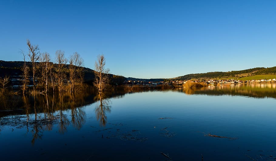 river, trees, flood, water, reflection, flooded, light, twilight HD wallpaper