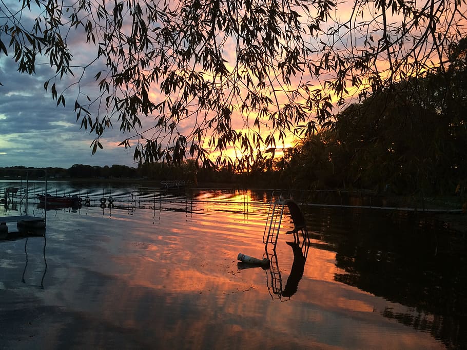 sunset, minnesota, lake, water, sky, reflection, tree, beauty in nature HD wallpaper