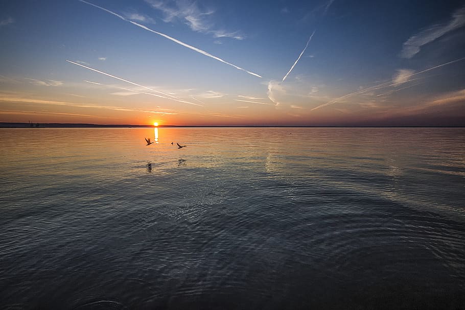 2 Birds Flying Near Body of Water during Orange Sunset, beach HD wallpaper