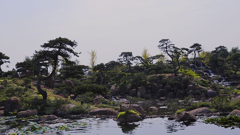 beijing, china, landscape, trees, asian, chinese, green, plant HD wallpaper