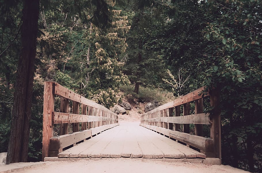Brown Wooden Bridge With Trees Landscape Photography, daylight HD wallpaper