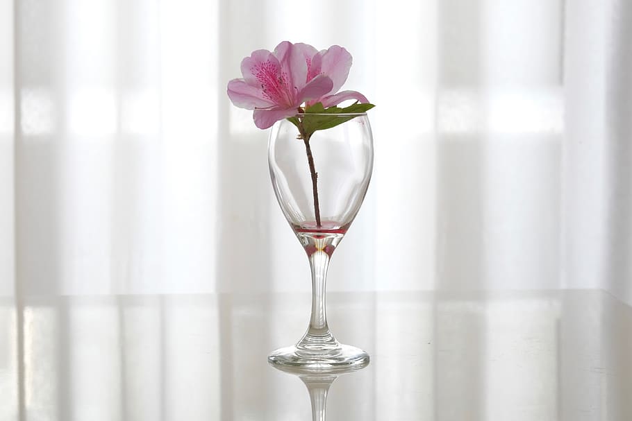flower, pink, grass, certain, white light, crystal, flowering plant HD wallpaper