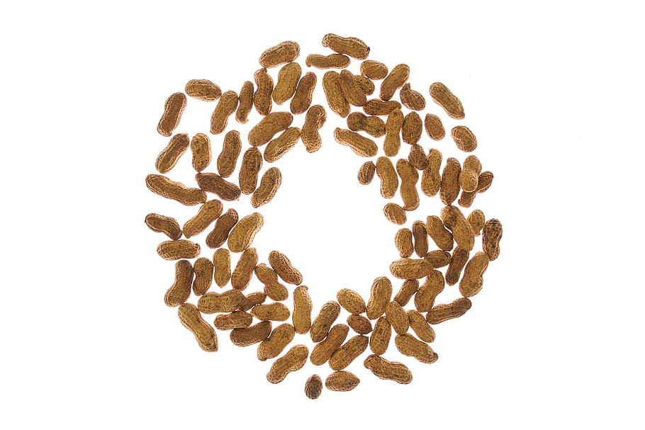 peanut, peanuts, shelled, sarmiento, salt, dried fruits and nuts HD wallpaper