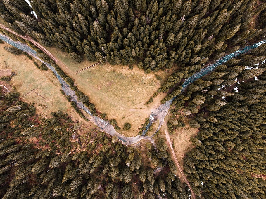 Water Between Pine Trees, abstract, aerial, art, bird's eye view HD wallpaper