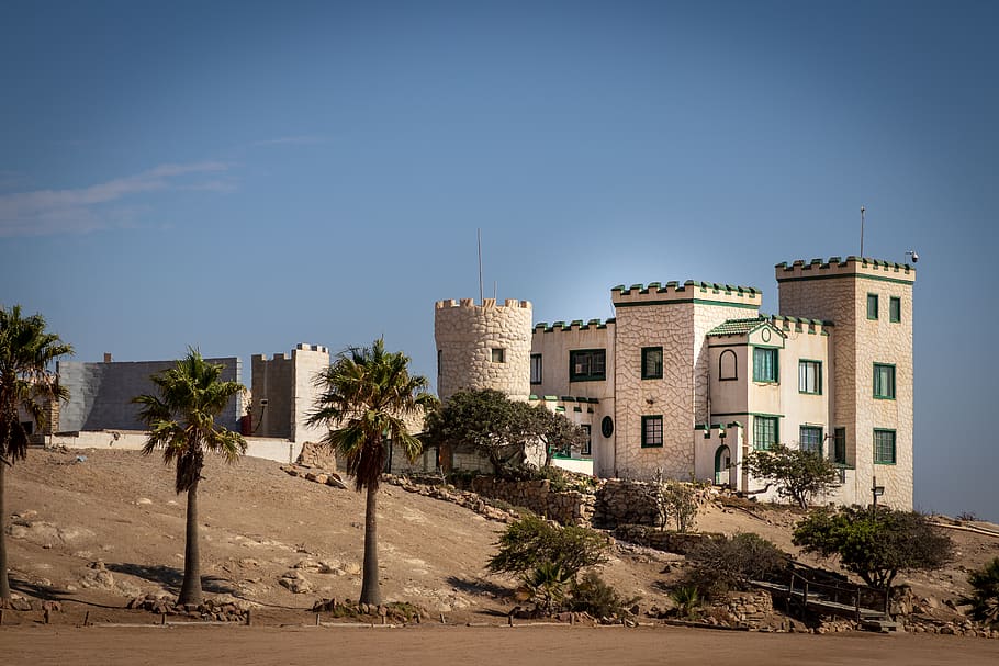 tree, plant, building, arecaceae, palm tree, architecture, castle HD wallpaper