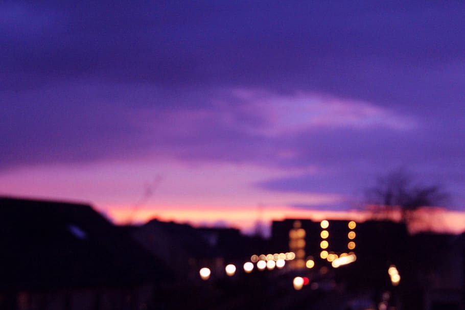 #sunset, #lights, #purple, #pink, #bokeh, #shadows, #trees HD wallpaper
