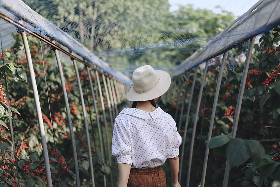 hat, one person, clothing, casual clothing, plant, standing HD wallpaper