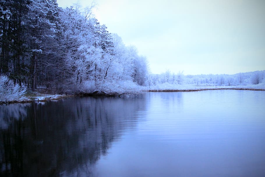 spring, snow, lake, nature, water, tree, tranquility, tranquil scene HD wallpaper