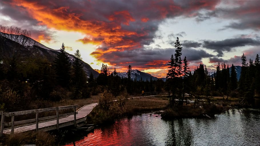 bridge on pond, sunrise, runner, rocky, reflection, landscape HD wallpaper