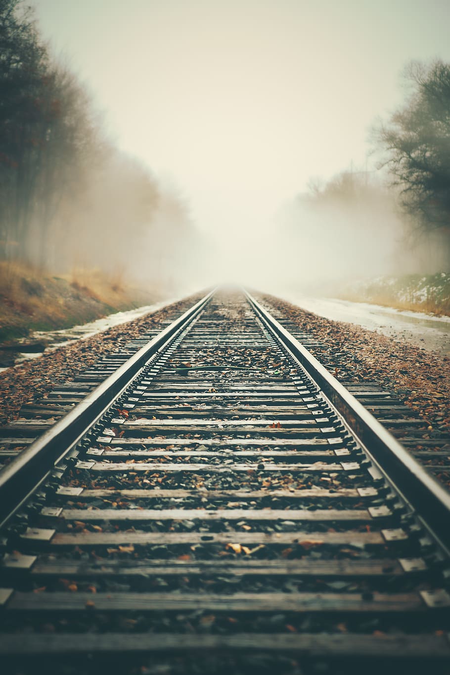 fogs covering trees on railways, rail transportation, track, railroad track HD wallpaper