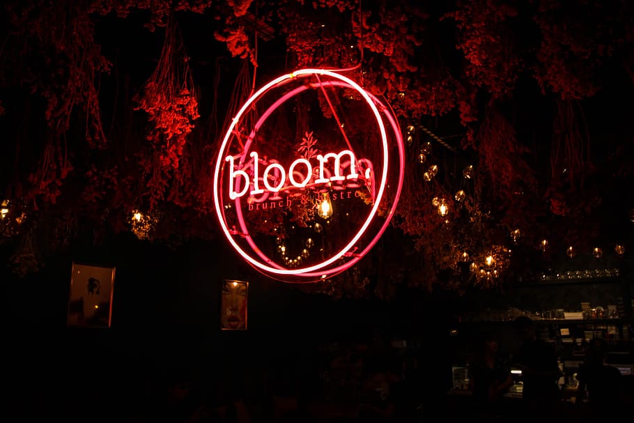 Red Bloom Neon Light Signage, design, illuminated, night, glowing HD wallpaper