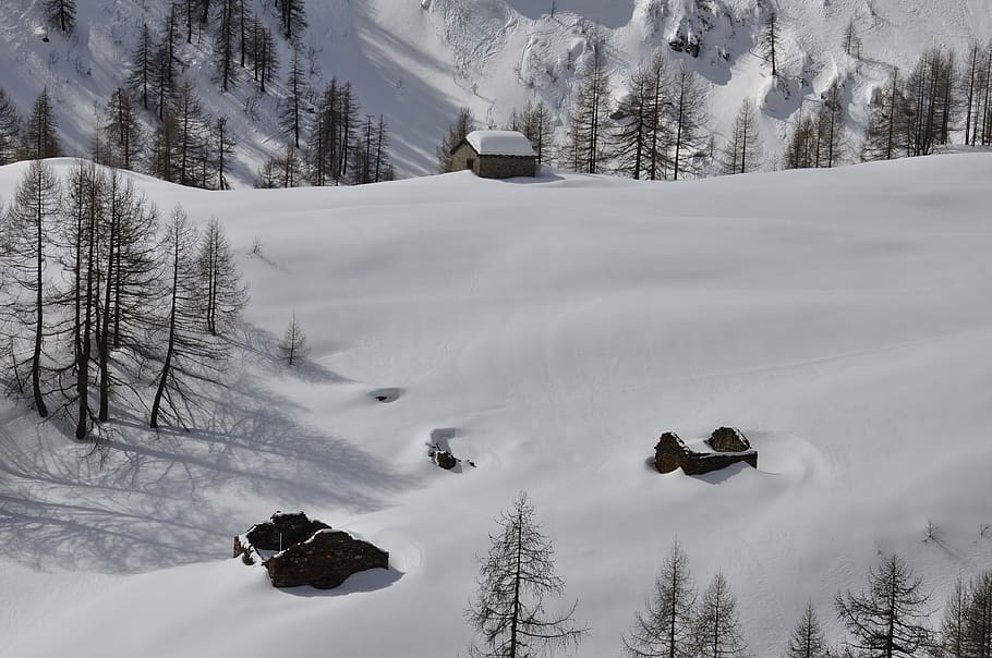 snow, cold, mountain, spring, nature, landscape, italy, trees HD wallpaper