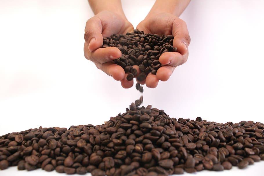 coffee, coffee grains, aroma, caffeine, stimulating, delicious, HD wallpaper