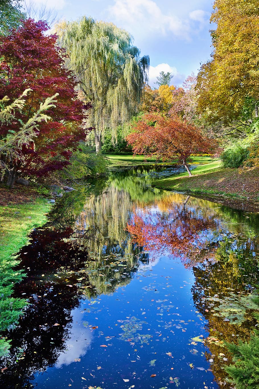fall, autumn, foliage, reflection, landscape, beauty, beautiful HD wallpaper