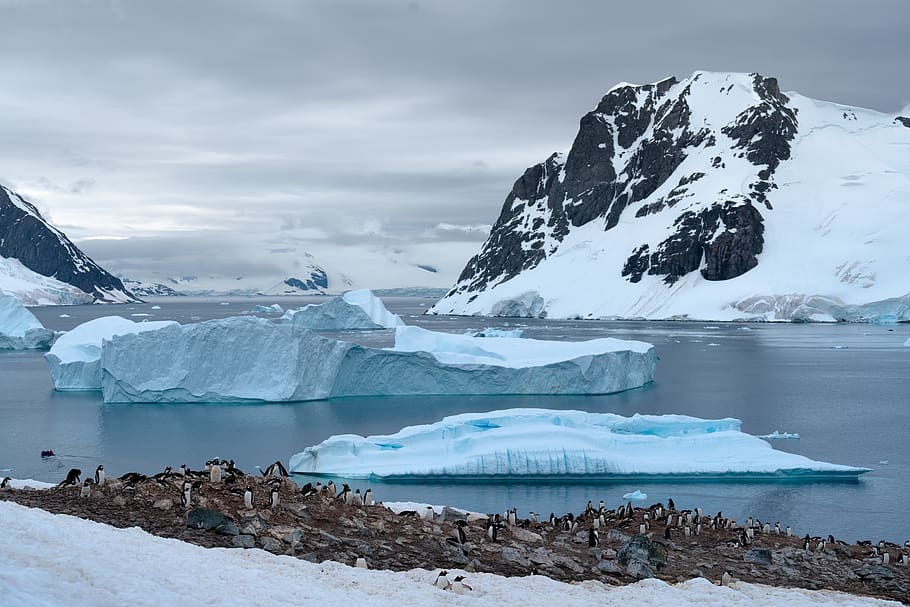 glaciers during daytime, nature, ice, mountain, outdoors, snow HD wallpaper