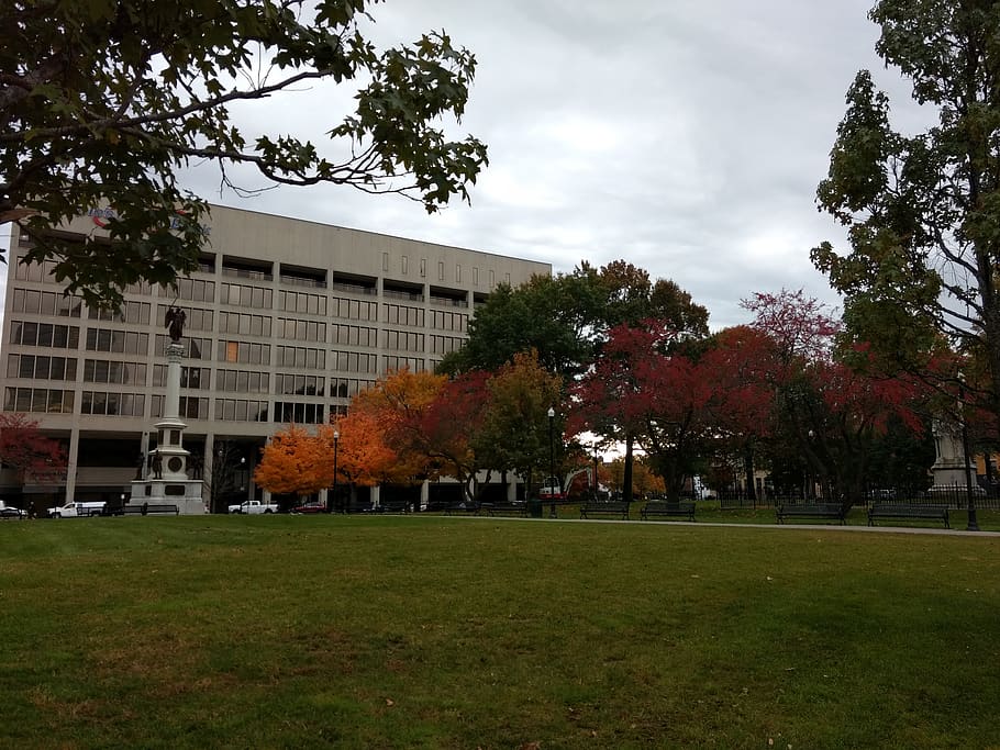 united states, worcester, plant, tree, autumn, grass, architecture HD wallpaper