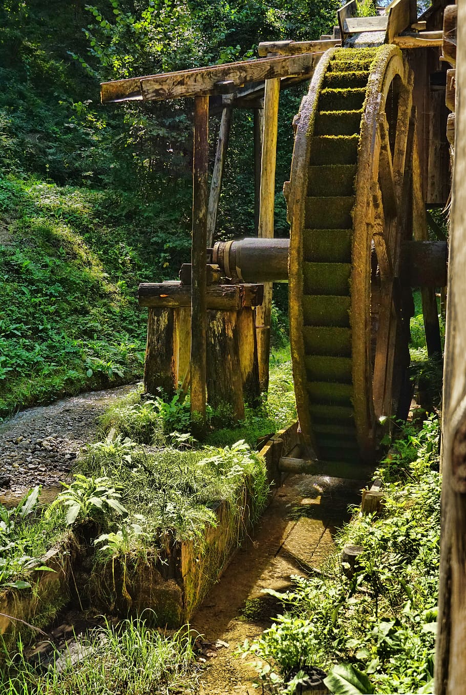 mill wheel, water, bach, energy, water power, old, idyllic HD wallpaper