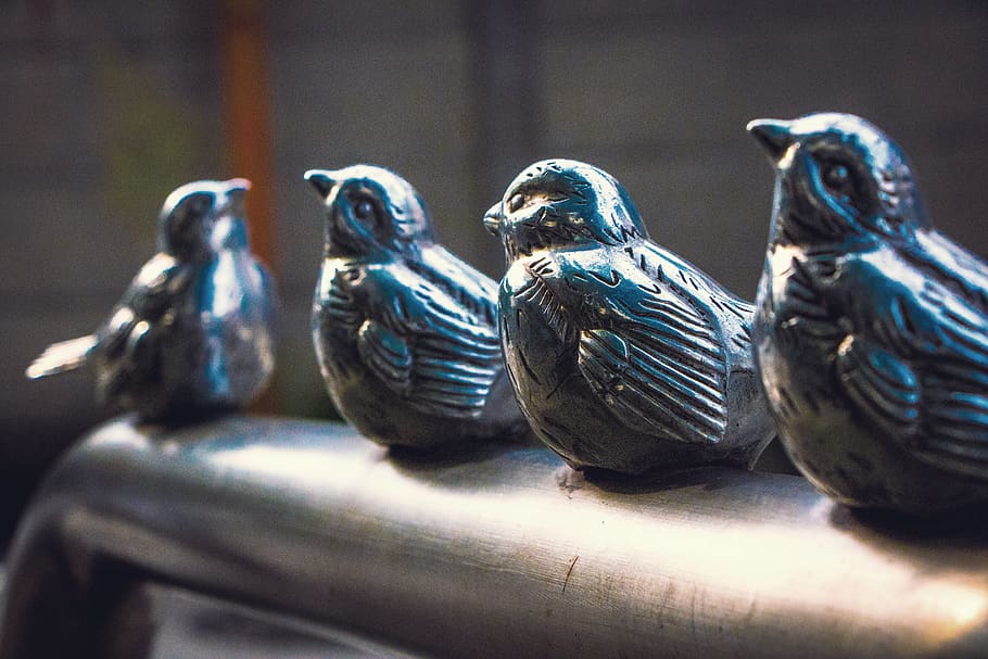 animal themes, bird, group of animals, vertebrate, no people HD wallpaper
