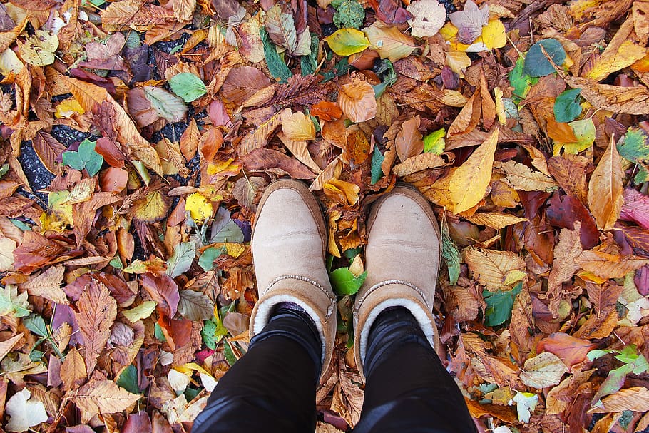 shoe, enjoy, fall, leaf, season, nature, color, colorful, yellow HD wallpaper