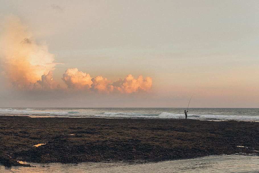 Person Fishing At Shore During Golden Hour, backlit, beach, dawn HD wallpaper