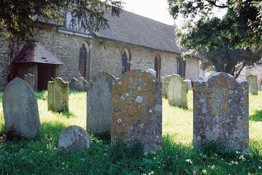 graveyard view, cemetery, stone, plant, tombstone, architecture HD wallpaper