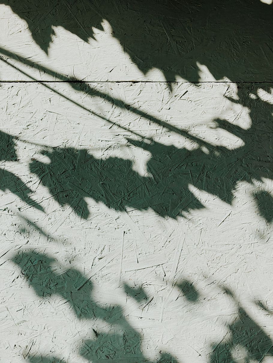Photo of Shadows on Wall, surface, texture, pattern, backgrounds HD wallpaper