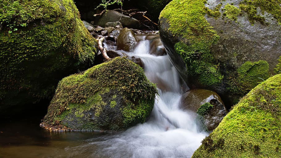 HD wallpaper new zealand beaumont forest green healing