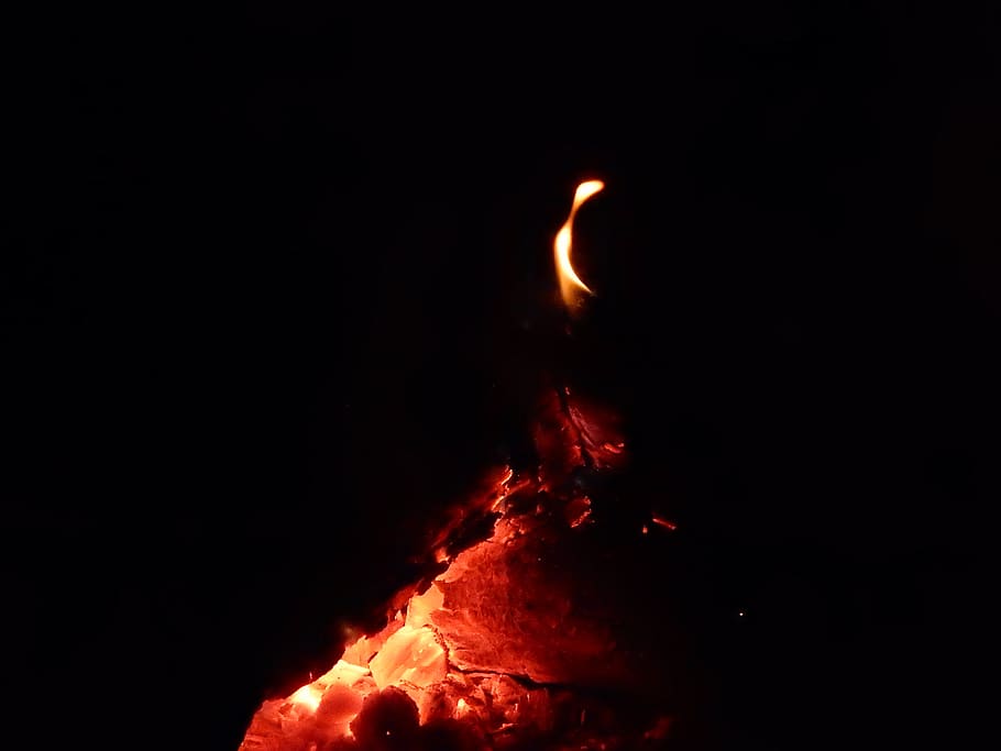 fire, heat - temperature, burning, fire - natural phenomenon HD wallpaper