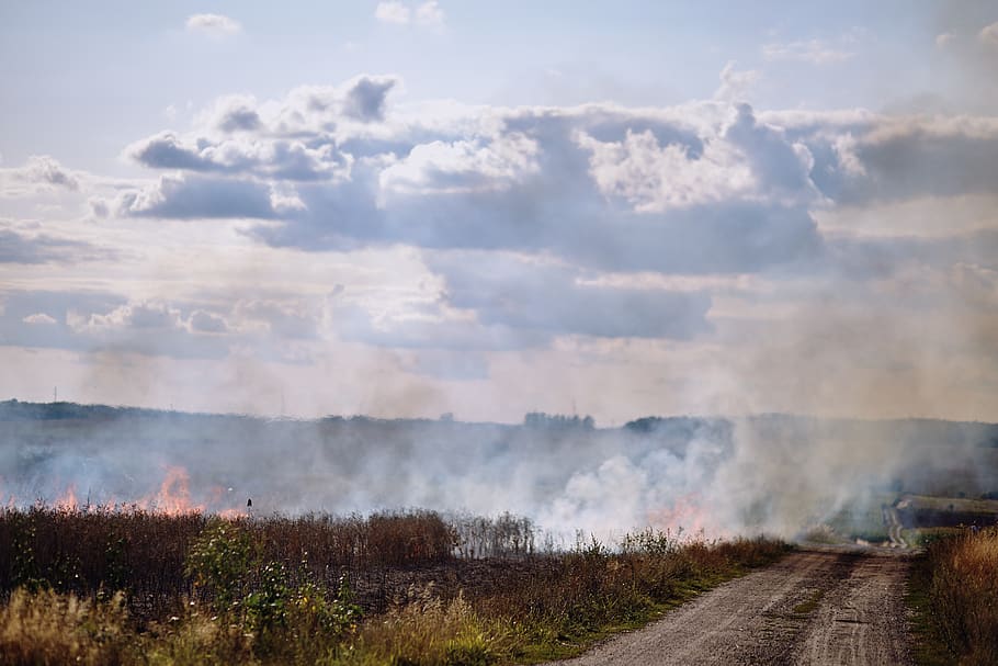 fire, field, anxiety, ash, burned, the destruction of the, fire department HD wallpaper