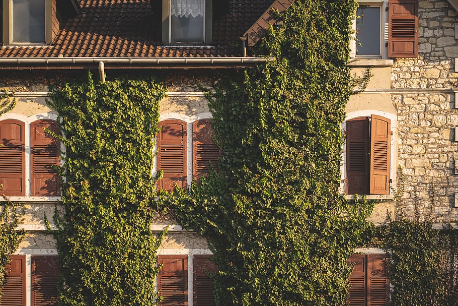 facade, window, architecture, building, structure, house facade HD wallpaper