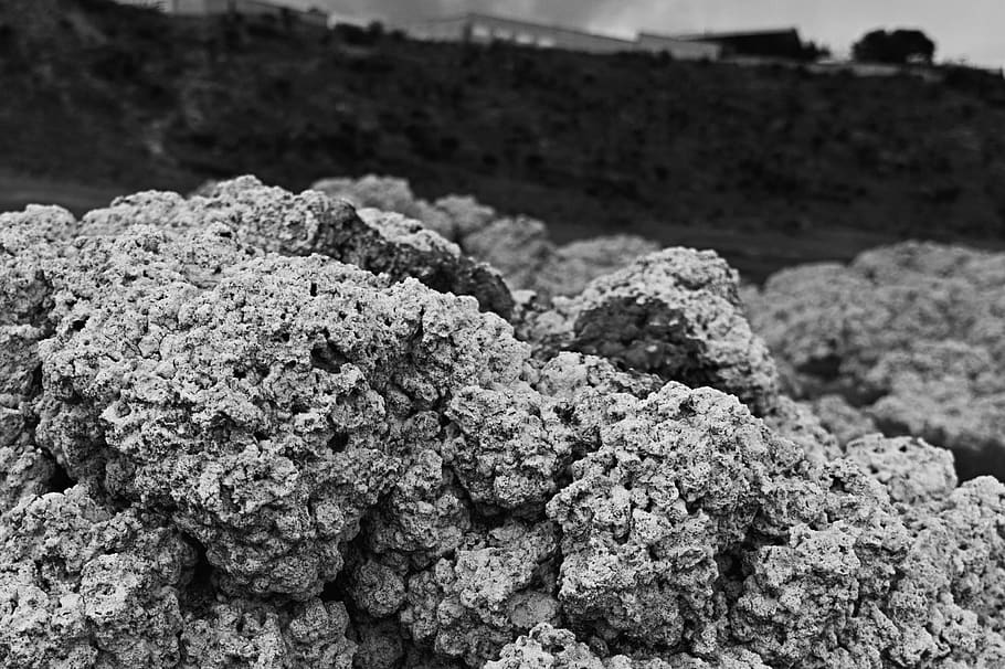 black and white, close up, texture, no people, focus on foreground HD wallpaper